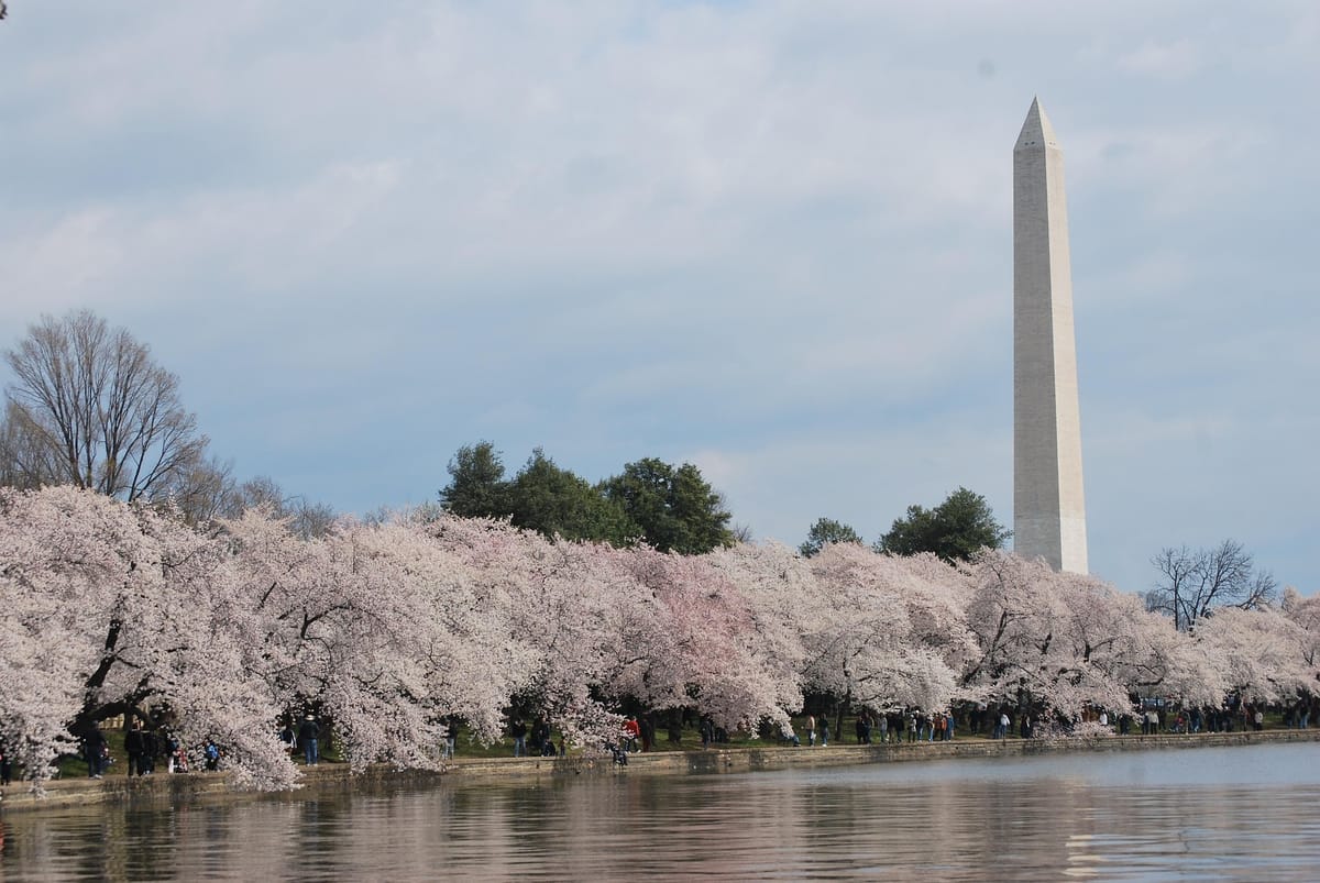 Skip-the-Line Washington Monument Tickets + Guidebook